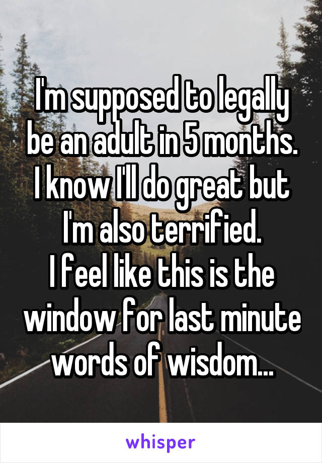 I'm supposed to legally be an adult in 5 months.
I know I'll do great but I'm also terrified.
I feel like this is the window for last minute words of wisdom...