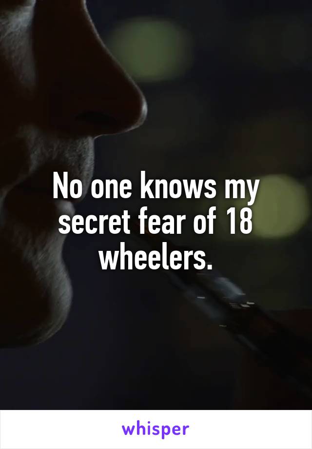 No one knows my secret fear of 18 wheelers.