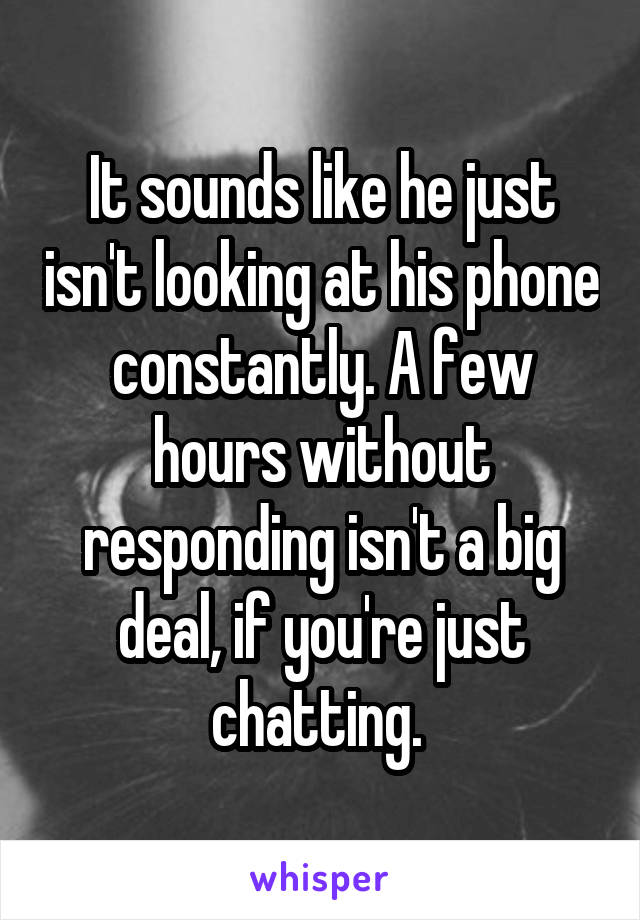 It sounds like he just isn't looking at his phone constantly. A few hours without responding isn't a big deal, if you're just chatting. 