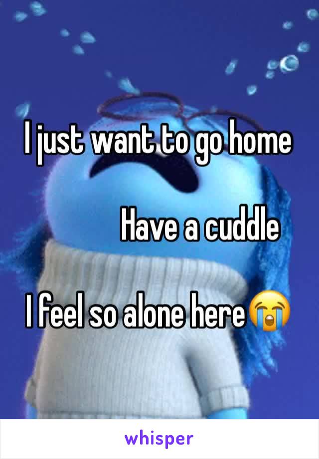 I just want to go home 

             Have a cuddle

I feel so alone here😭