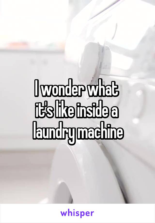 I wonder what 
it's like inside a 
laundry machine