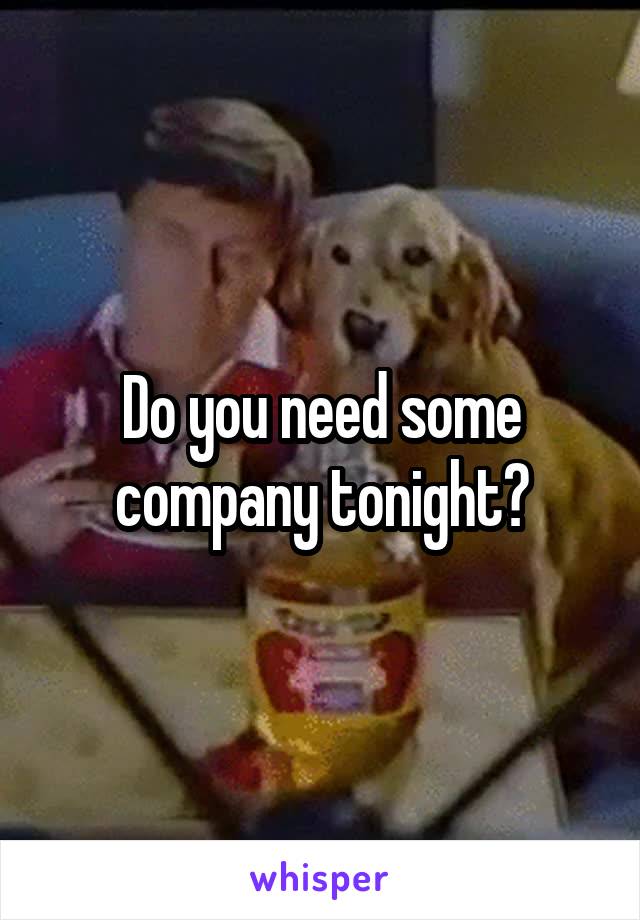 Do you need some company tonight?