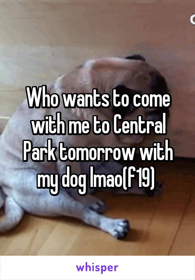 Who wants to come with me to Central Park tomorrow with my dog lmao(f19) 