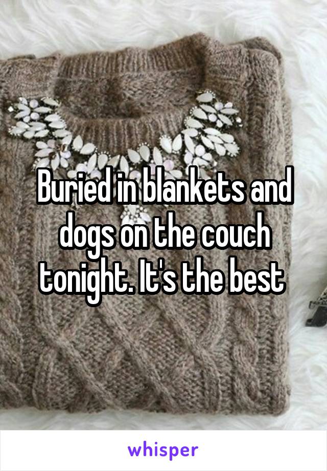 Buried in blankets and dogs on the couch tonight. It's the best 