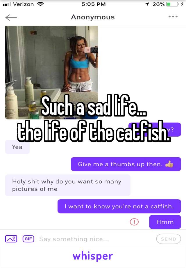 Such a sad life...
the life of the catfish. 