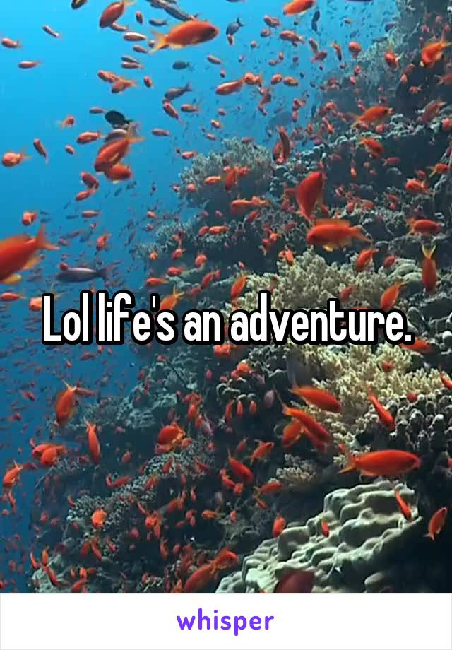 Lol life's an adventure.