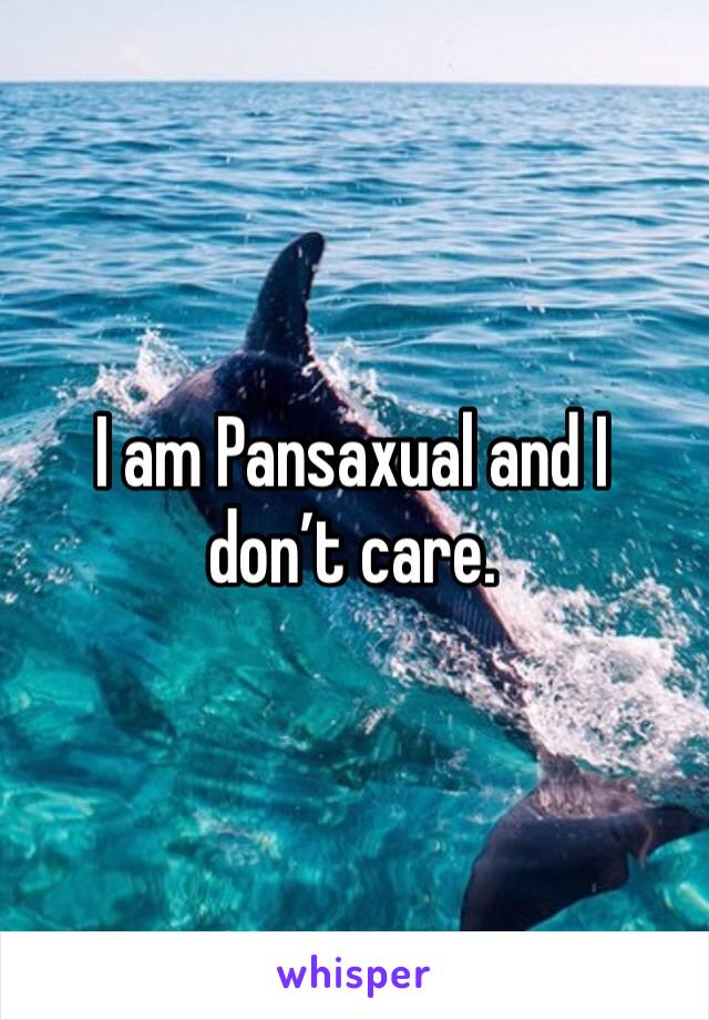 I am Pansaxual and I don’t care.