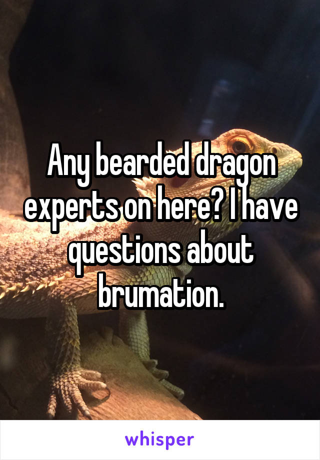 Any bearded dragon experts on here? I have questions about brumation.