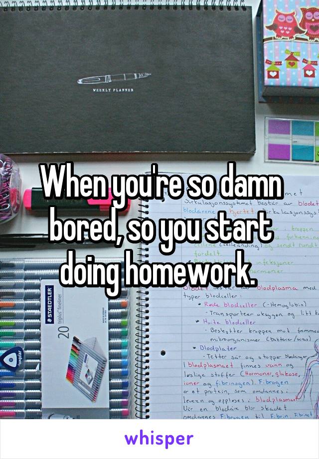 When you're so damn bored, so you start doing homework. 