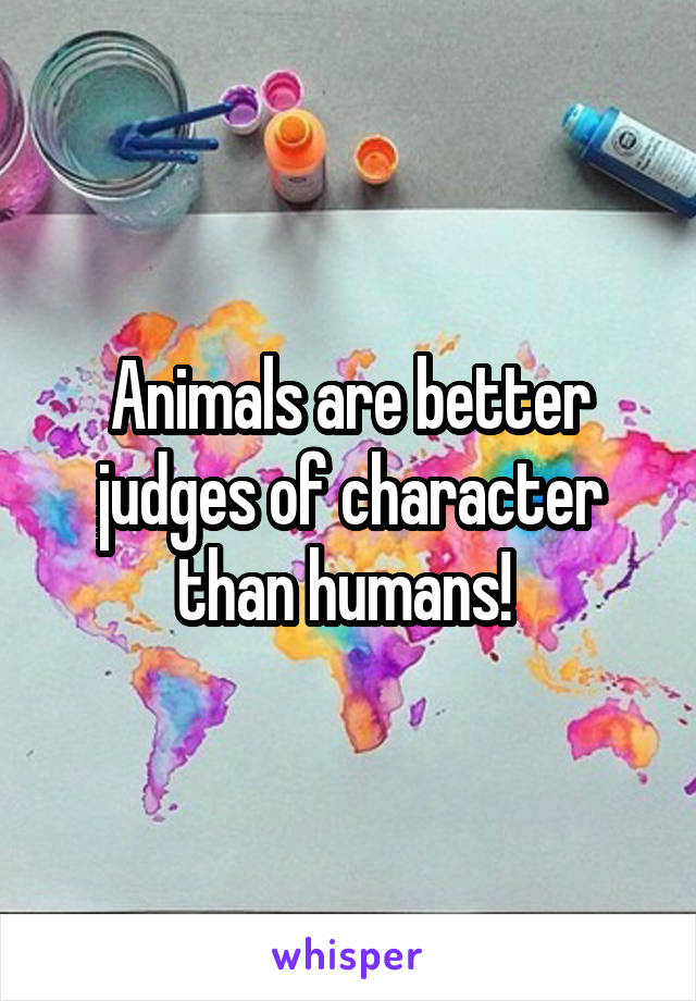 Animals are better judges of character than humans! 