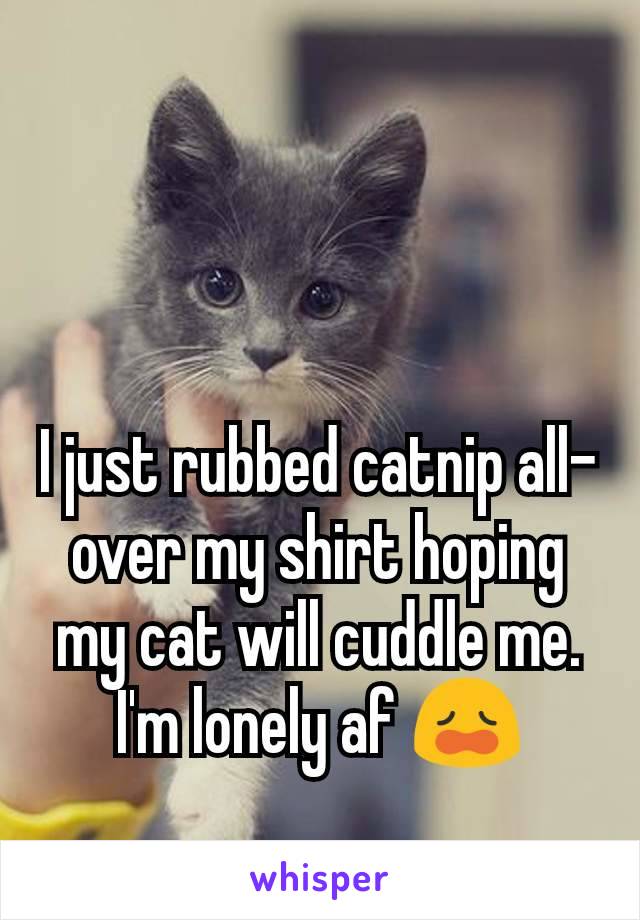 I just rubbed catnip all-over my shirt hoping my cat will cuddle me. I'm lonely af 😩