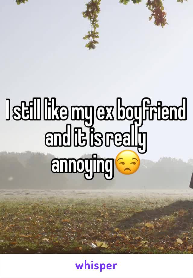I still like my ex boyfriend and it is really annoying😒