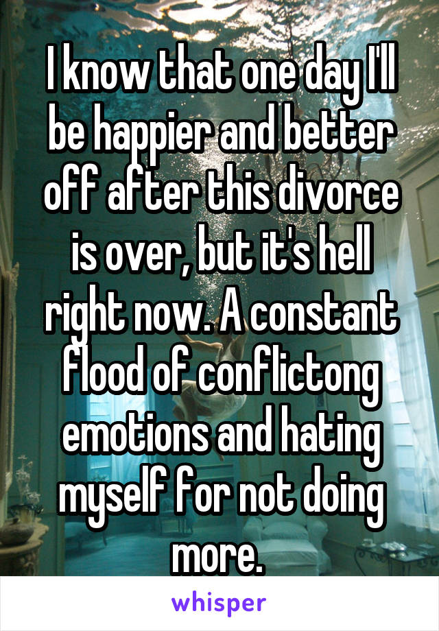 I know that one day I'll be happier and better off after this divorce is over, but it's hell right now. A constant flood of conflictong emotions and hating myself for not doing more. 