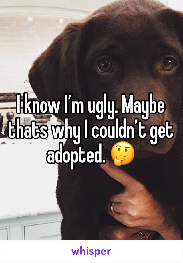I know I’m ugly. Maybe thats why I couldn’t get adopted. 🤔