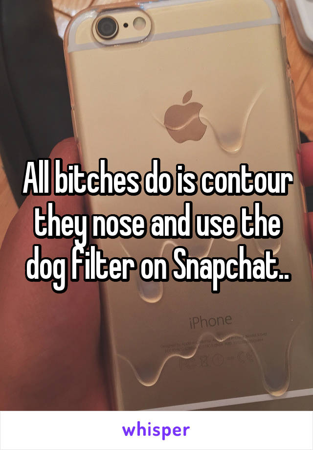 All bitches do is contour they nose and use the dog filter on Snapchat..