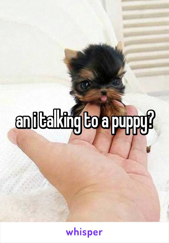 an i talking to a puppy?