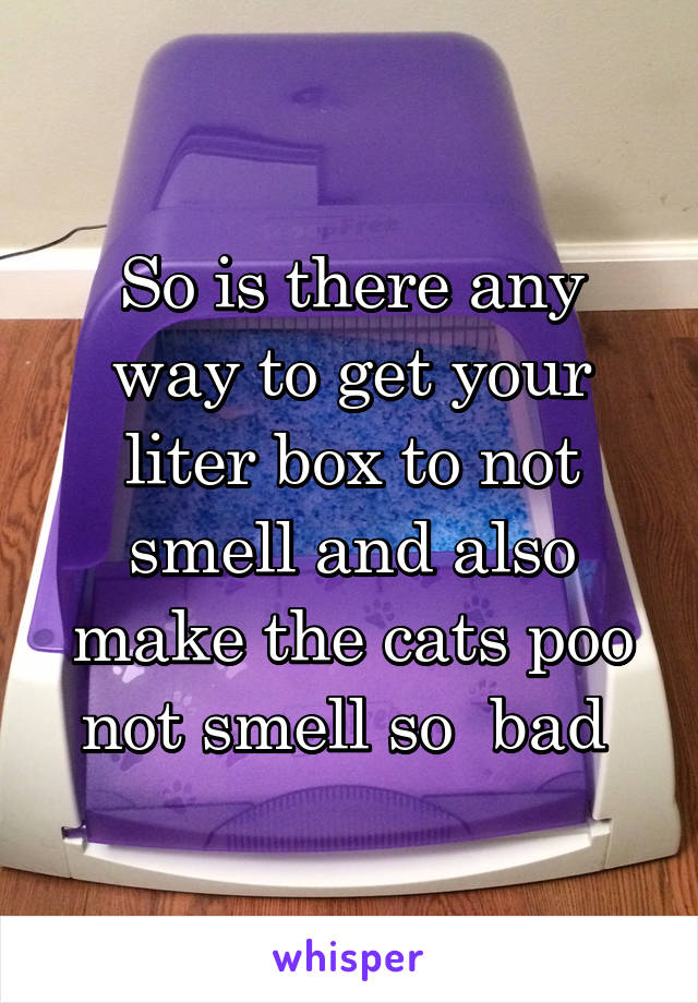 So is there any way to get your liter box to not smell and also make the cats poo not smell so  bad 