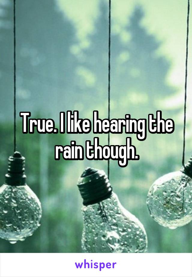 True. I like hearing the rain though.