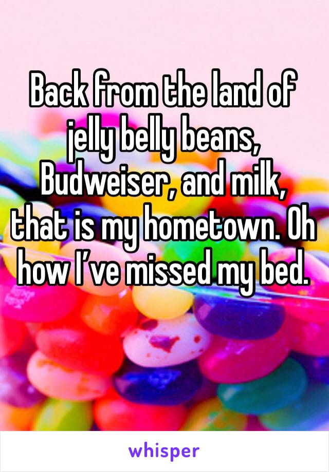 Back from the land of jelly belly beans, Budweiser, and milk, that is my hometown. Oh how I’ve missed my bed. 