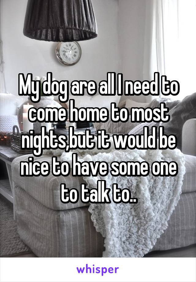 My dog are all I need to come home to most nights,but it would be nice to have some one to talk to..