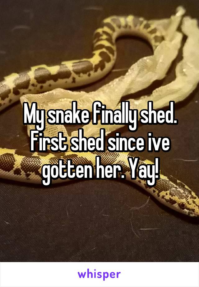 My snake finally shed. First shed since ive gotten her. Yay!