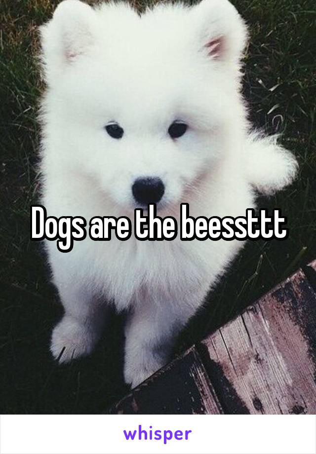 Dogs are the beessttt