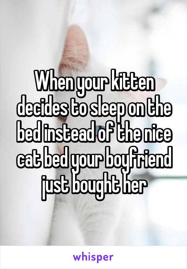 When your kitten decides to sleep on the bed instead of the nice cat bed your boyfriend just bought her