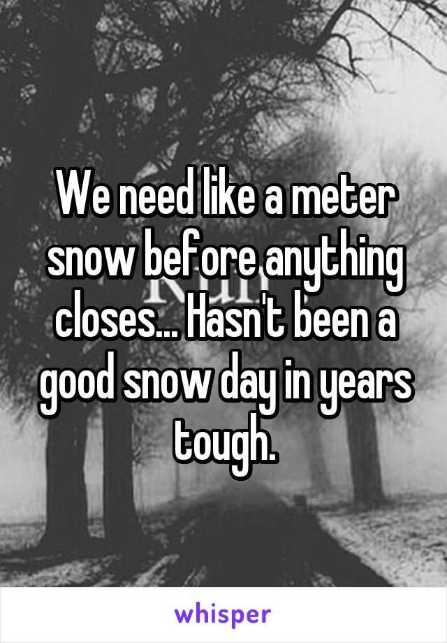 We need like a meter snow before anything closes... Hasn't been a good snow day in years tough.