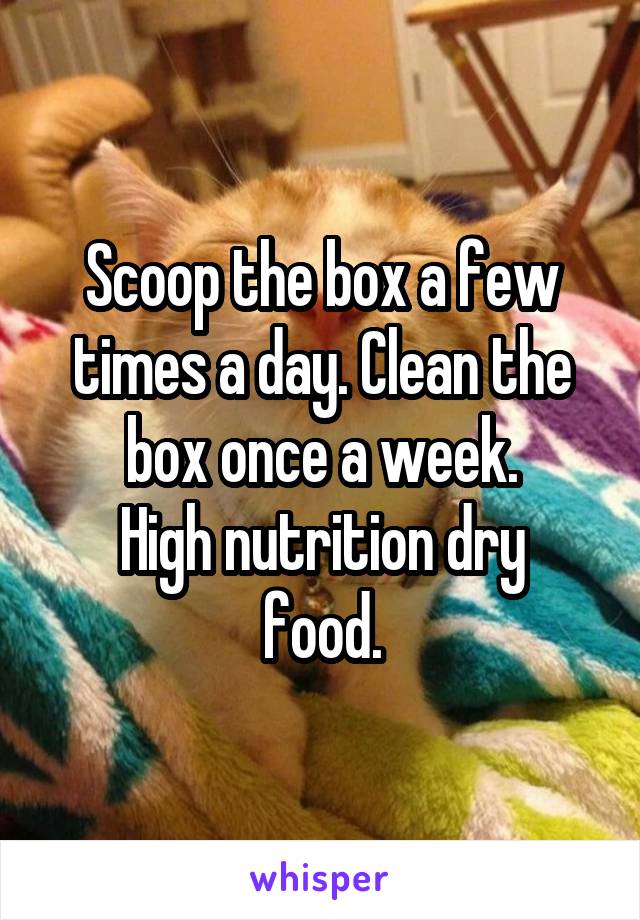 Scoop the box a few times a day. Clean the box once a week.
High nutrition dry food.