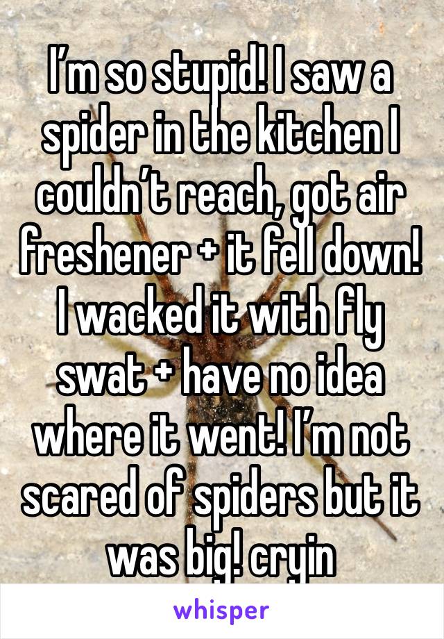 I’m so stupid! I saw a spider in the kitchen I couldn’t reach, got air freshener + it fell down! I wacked it with fly swat + have no idea where it went! I’m not scared of spiders but it was big! cryin
