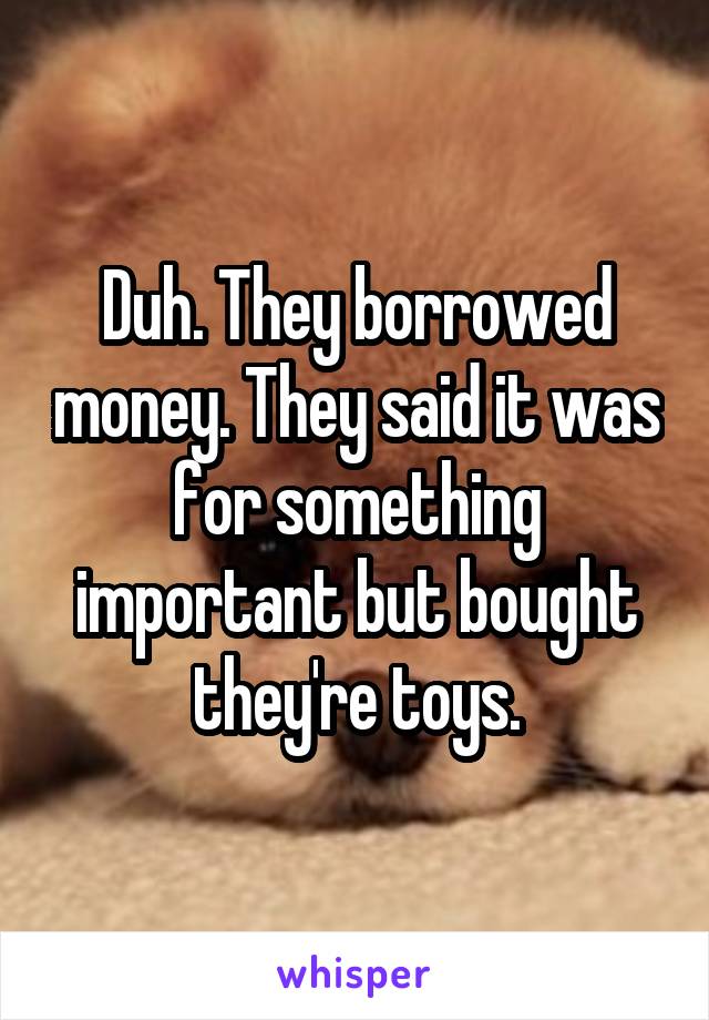 Duh. They borrowed money. They said it was for something important but bought they're toys.