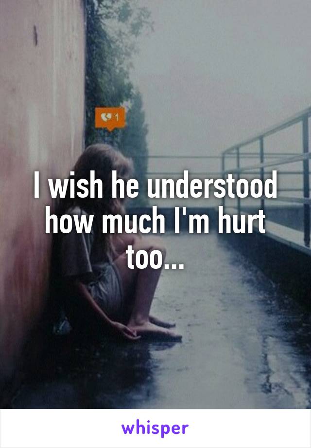 I wish he understood how much I'm hurt too...
