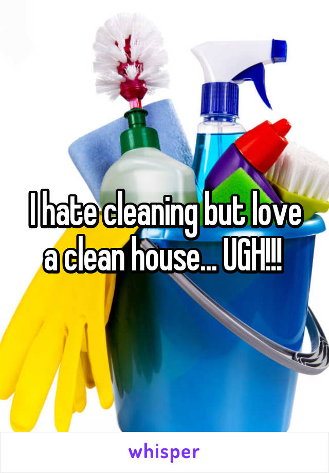 I hate cleaning but love a clean house... UGH!!! 