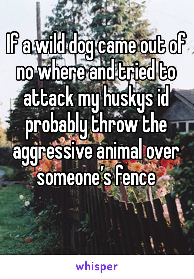 If a wild dog came out of no where and tried to attack my huskys id probably throw the aggressive animal over someone’s fence 
