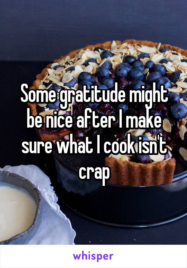 Some gratitude might be nice after I make sure what I cook isn't crap