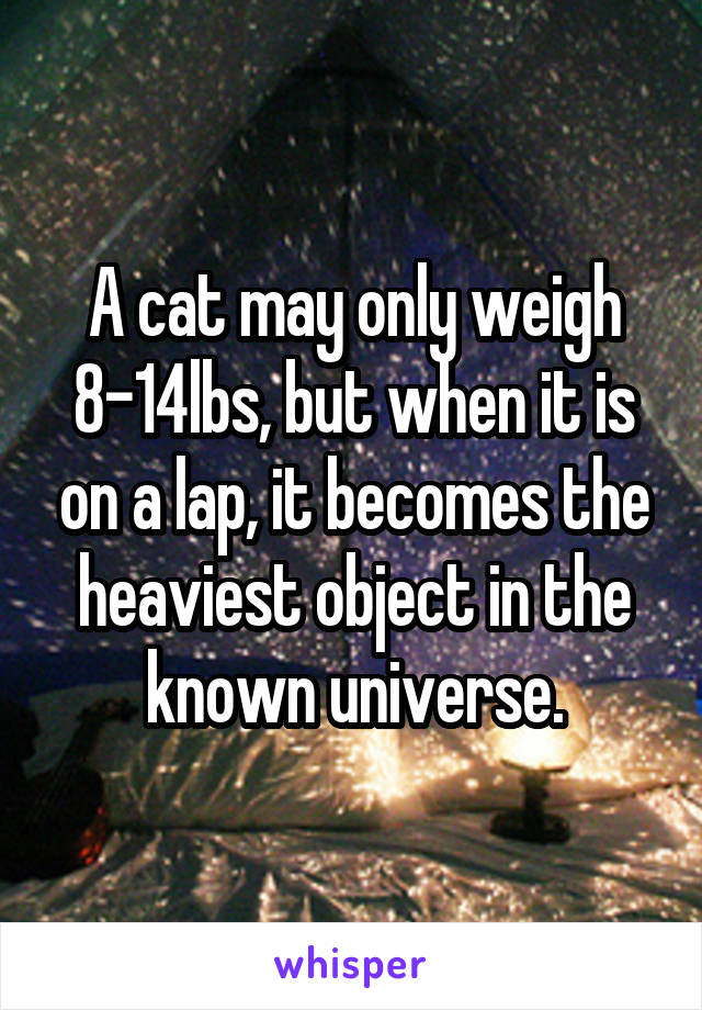 A cat may only weigh 8-14lbs, but when it is on a lap, it becomes the heaviest object in the known universe.