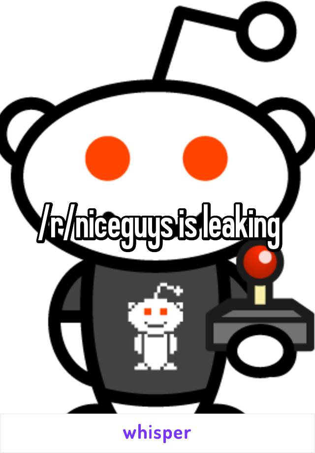 /r/niceguys is leaking