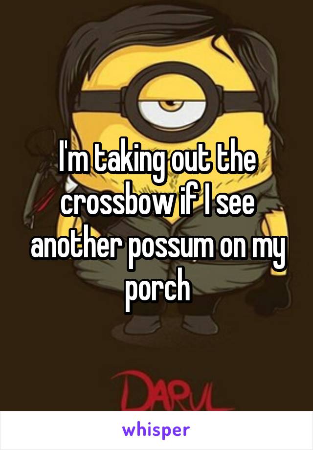 I'm taking out the crossbow if I see another possum on my porch