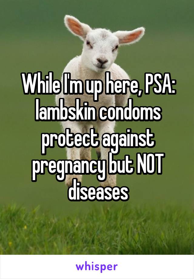 While I'm up here, PSA: lambskin condoms protect against pregnancy but NOT diseases