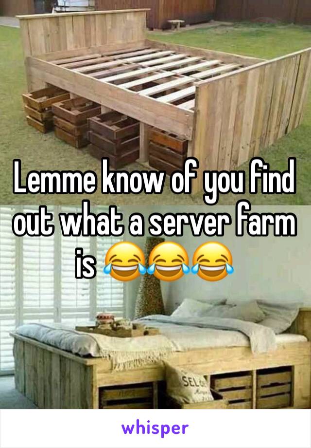 Lemme know of you find out what a server farm is 😂😂😂