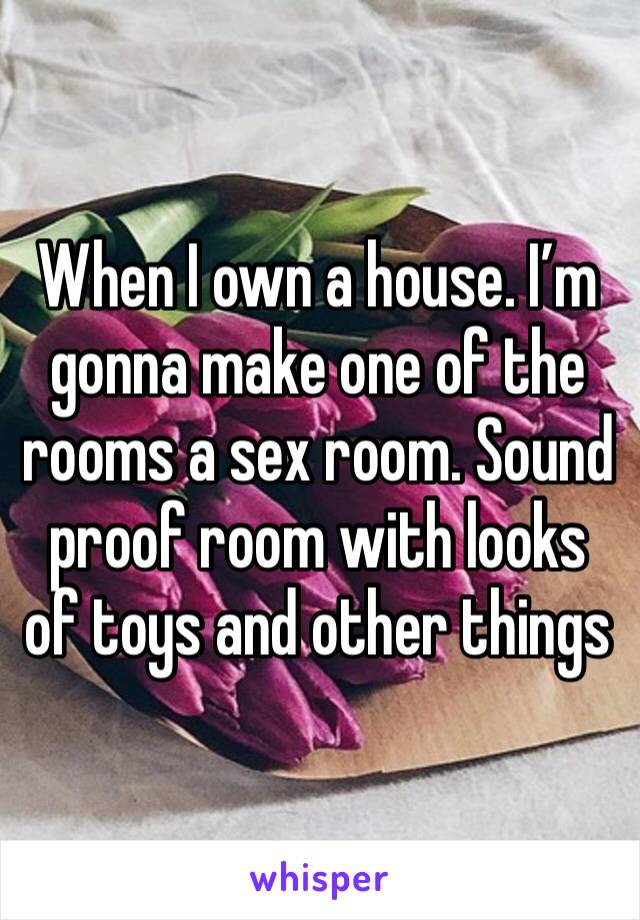 When I own a house. I’m gonna make one of the rooms a sex room. Sound proof room with looks of toys and other things 