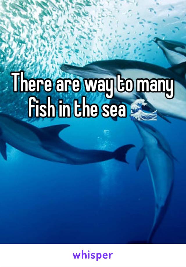 There are way to many fish in the sea 🌊 