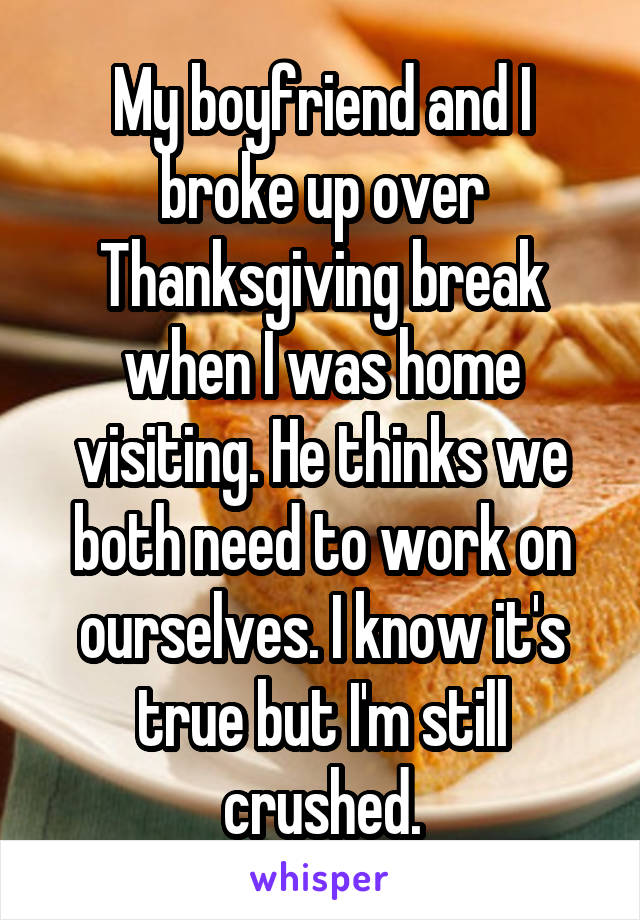 My boyfriend and I broke up over Thanksgiving break when I was home visiting. He thinks we both need to work on ourselves. I know it's true but I'm still crushed.