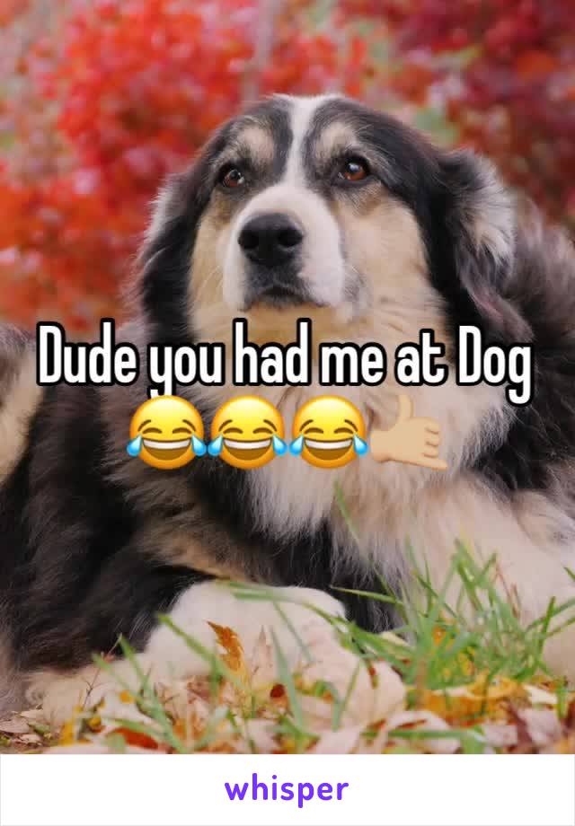 Dude you had me at Dog 😂😂😂🤙🏼