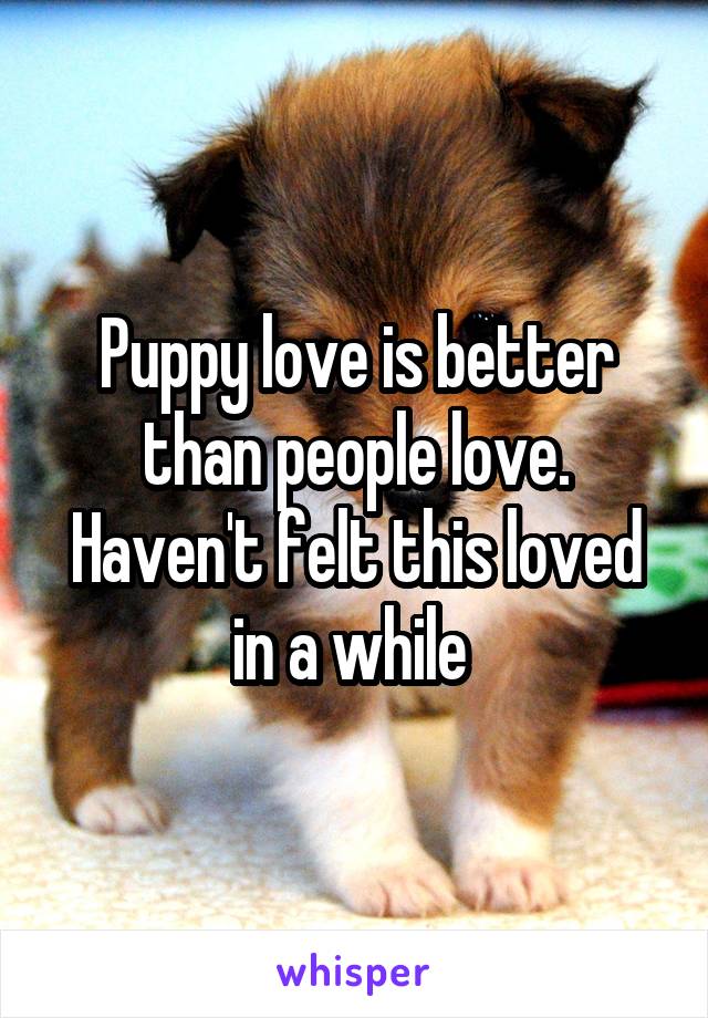 Puppy love is better than people love. Haven't felt this loved in a while 