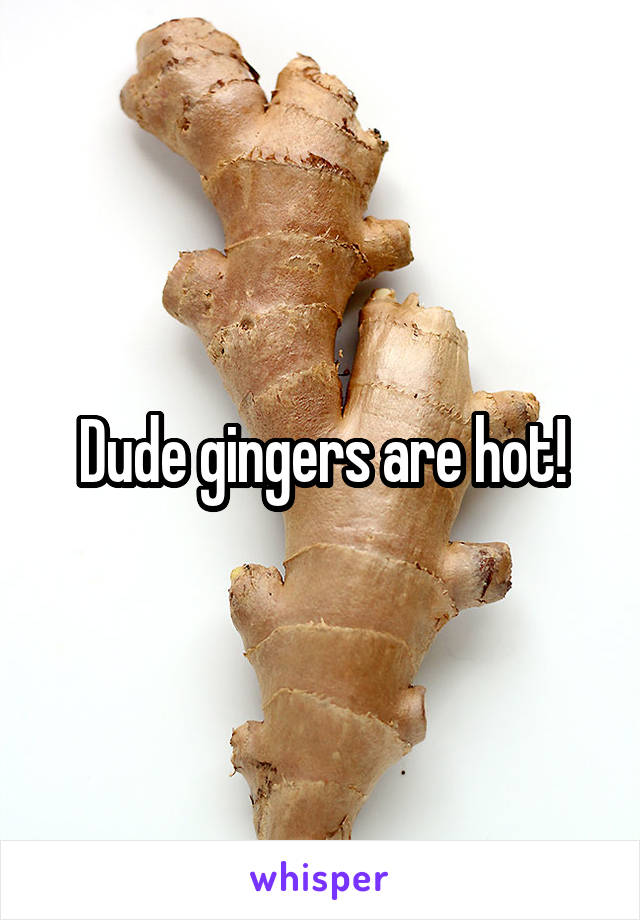 Dude gingers are hot!