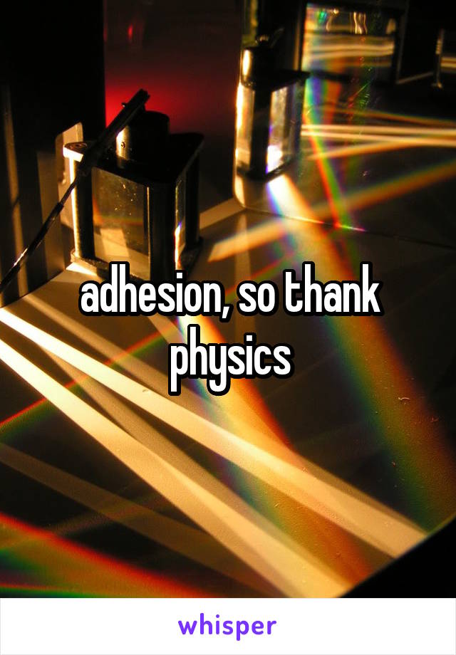 adhesion, so thank physics