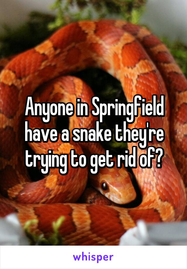Anyone in Springfield have a snake they're trying to get rid of?