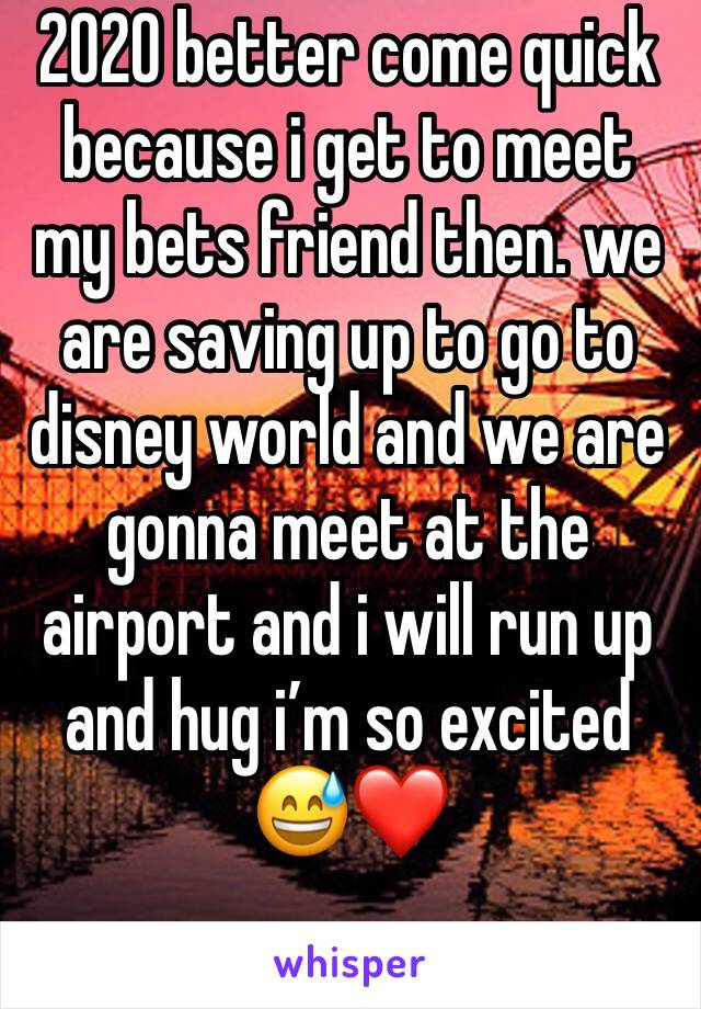 2020 better come quick because i get to meet my bets friend then. we are saving up to go to disney world and we are gonna meet at the airport and i will run up and hug i’m so excited 😅❤️