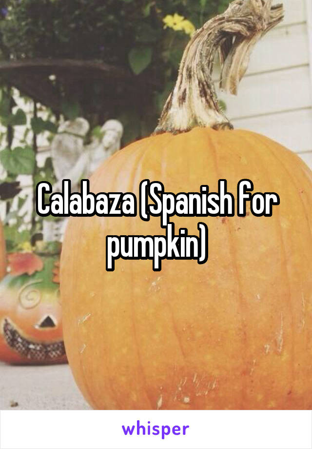 Calabaza (Spanish for pumpkin)
